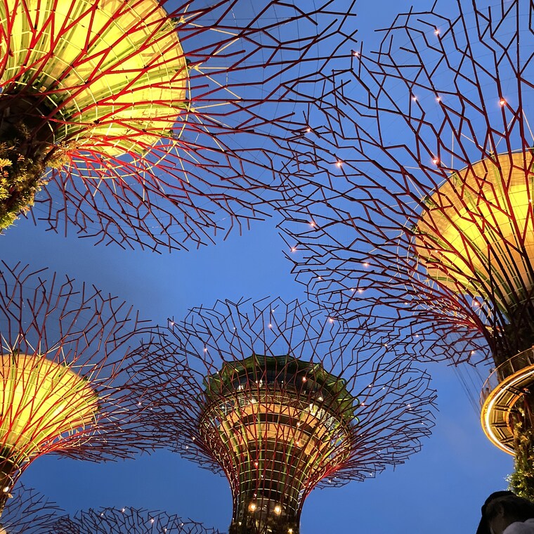 [QR입장]싱가포르 가든스 바이 더베이 입장권(플라워 돔/클라우드