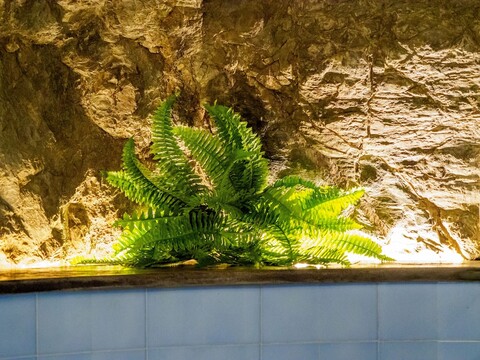 카사 피나 가족 아파트먼트