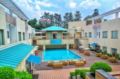 디 오션 펄 가르데니아