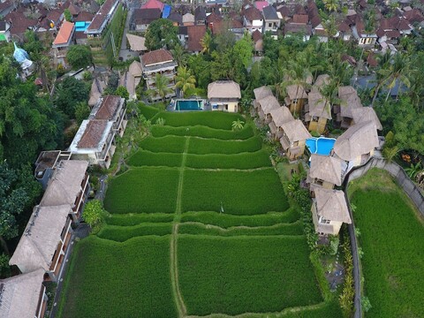 비유쿠쿵 스위트 & 스파