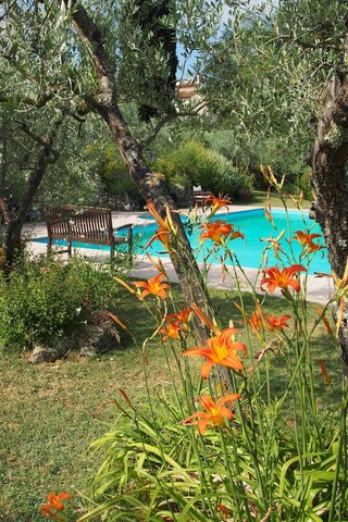 이 파리지 코르비넬리