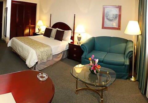 호텔 페드레갈 팰리스