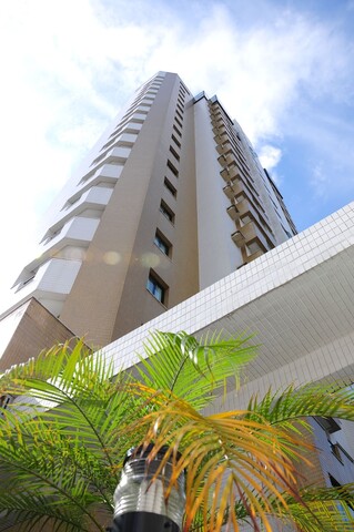 브라실리아 산타나 골드 플랫