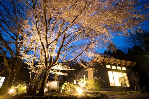 포레스트 인 본