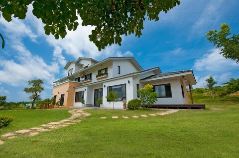 더 트리 B & B