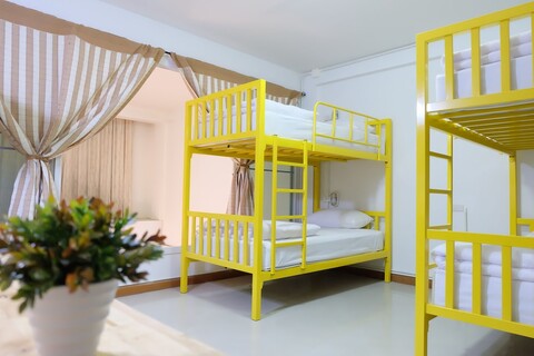 데이지 하우스 - 호스텔