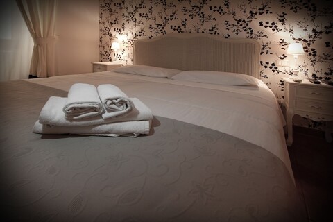 도무스 플라비아에