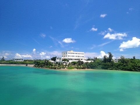 호텔 사우스 아일랜드