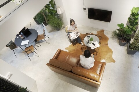 초콜릿 박스 민트