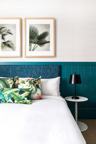 더 백슬리 본디