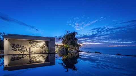 하날리 빌라 코우리