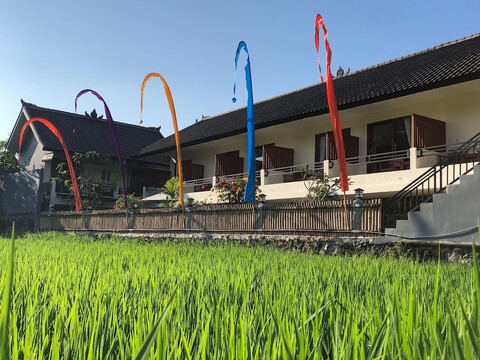 드로즈 게스트 하우스 캉구 발리