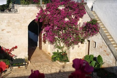 마세리아 모로네