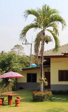 오요 769 반 타사니