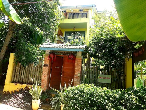 핑크 튤립 호이안