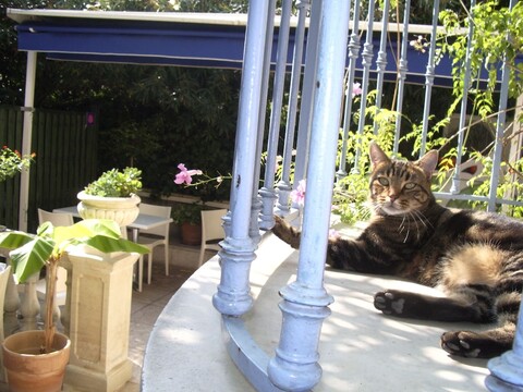 빌라 생 위베르