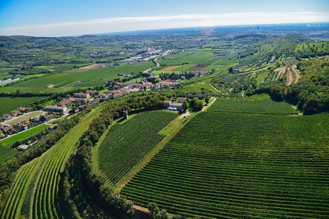 테누타 델로 를레