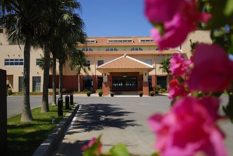 엑세스 이시가키