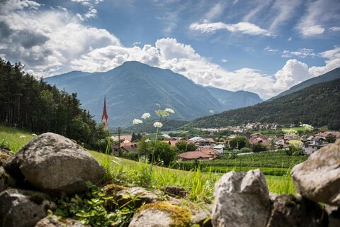 B&B 호텔 손네크