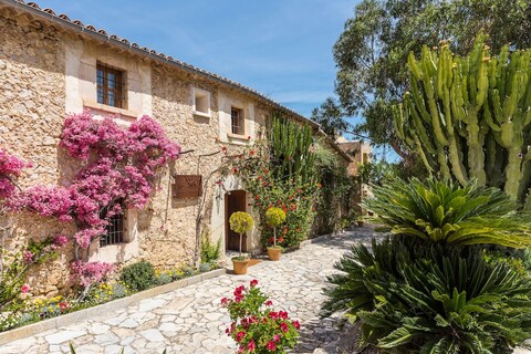 핀카 손 아메틀러