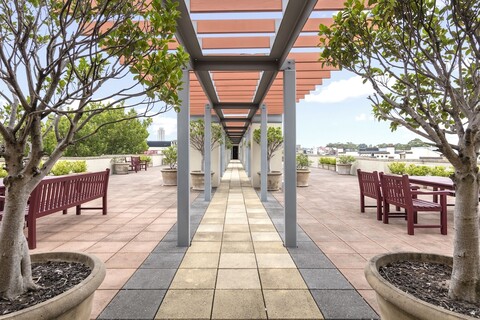 네수토 치펀데일