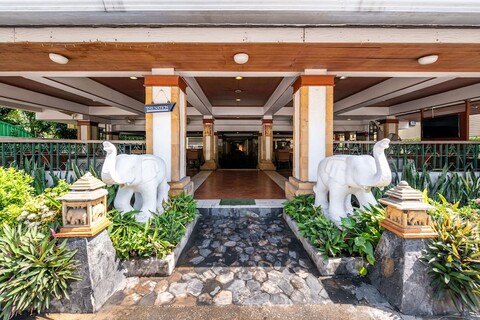 로얄 아이보리 수쿰빗 나나