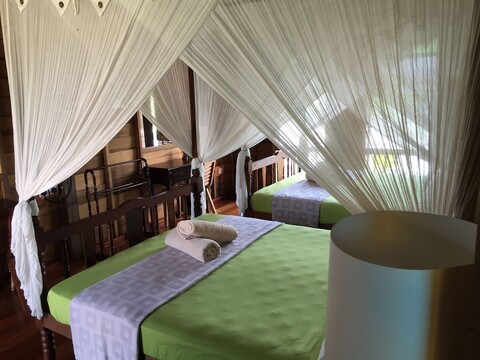 테나벤당 뱅글로스