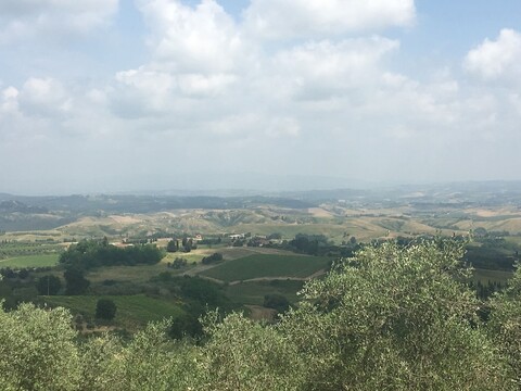 리고네 인 키안티