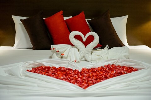 Z 털레이 하우스