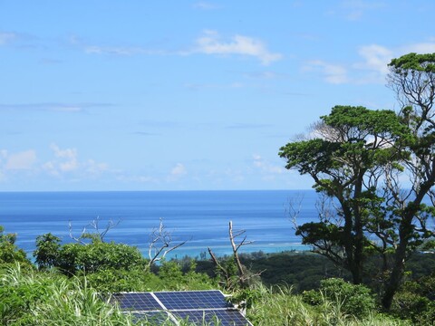 오키나와 프리덤