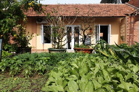 트라이 호아 방 홈스테이 - 호스텔