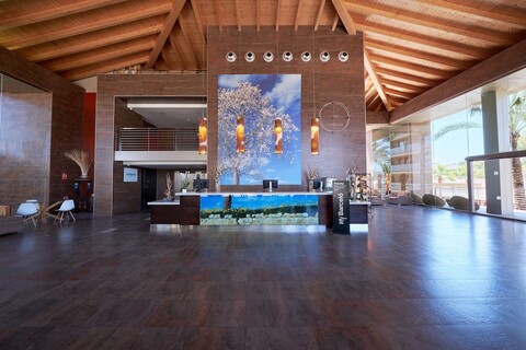 옥시덴탈 칼라 비냐스