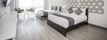 호텔 엘 에헤쿠티보