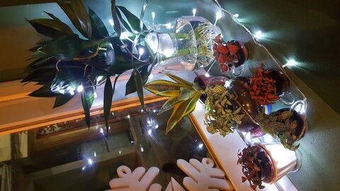 탐 콕 투안 민 홈스테이