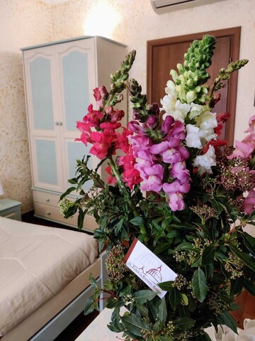 세인트 피터스 룸스 로마