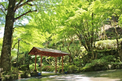 소라 토게츠소우 킨류