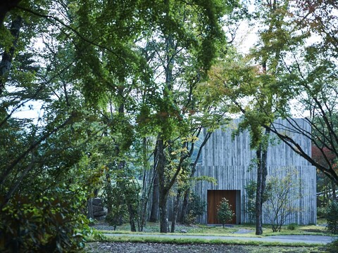 유후인 산소 와라비노