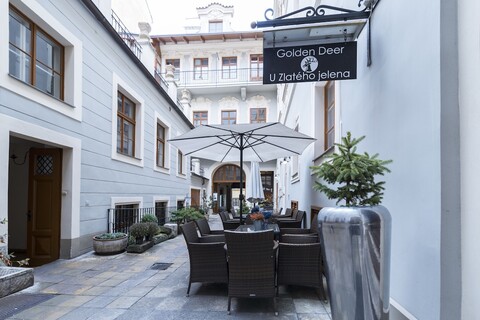 호텔 우 즐라테호 옐레나