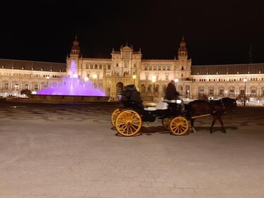 Fresh & Clean Room Sevilla