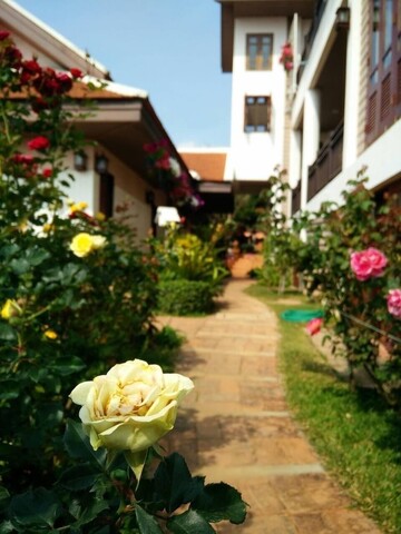 푸목다오 리조트