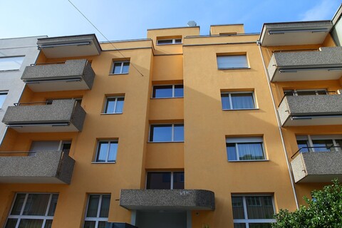 스위스 스타 디스트릭트 11