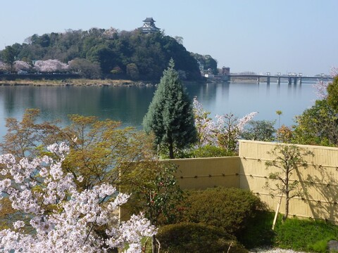 사인후안 하쇼카쿠 미즈노워