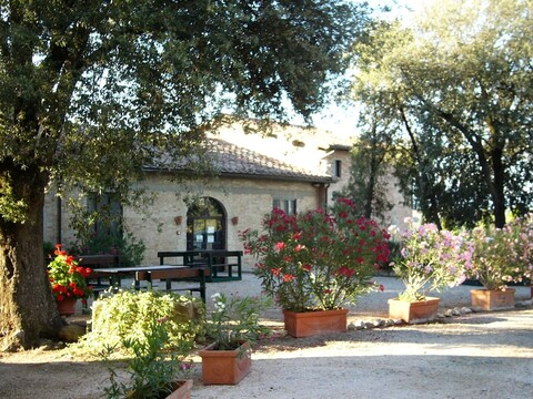 파토리아 피에베 아 살티