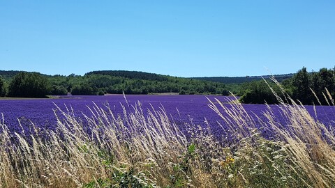 오베르주 드 타펠