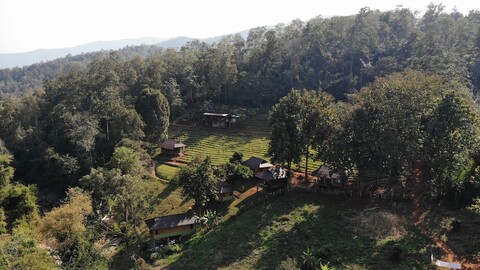 치앙마이 엘리펀트 프렌즈