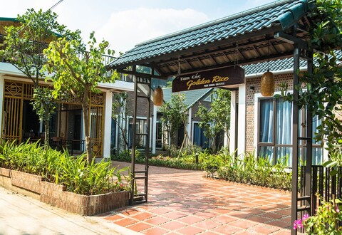 탐콕 골든 라이스