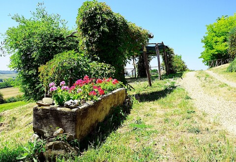 라 로카 델라 마조네