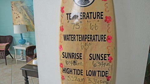 오션 서프 인 & 스위트