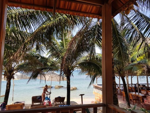 프리 비치 리조트