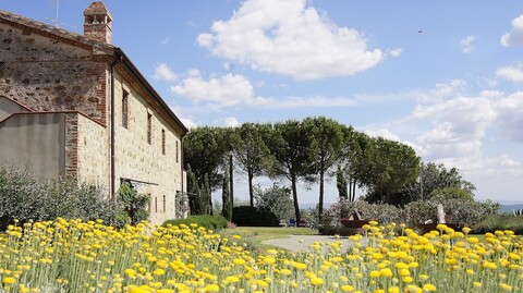 안티코 카살레 림포스티노